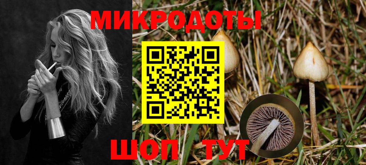 Галлюциногенные грибы Psilocybe  даркнет сайт  Сосновоборск  Вход с VPN  Галлюциногенные грибы GOLDEN TEACHER 