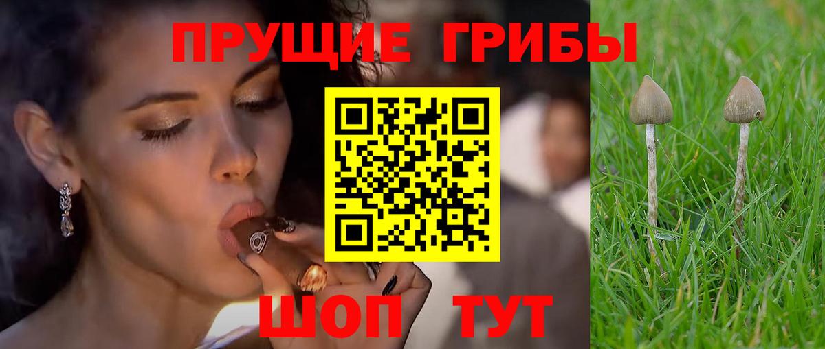 Галлюциногенные грибы мицелий Сосновоборск