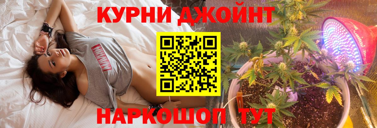 Конопля OG Kush  Каннабис ГИДРОПОН  Вход с VPN  Сосновоборск 